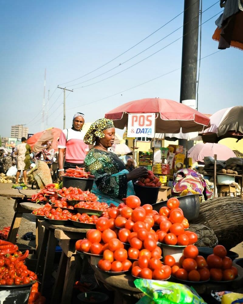 A trader sells fresh tomatoes and peppers at an open-air Nigerian market